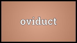 Oviduct Meaning [upl. by Lida]