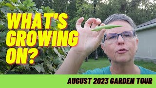 Imperfect Garden Tour Zone 9A Northeast Florida August 2023 gardentour [upl. by Schnabel]