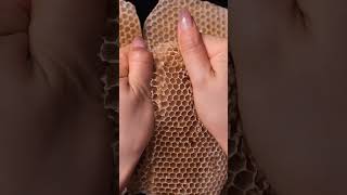 Honeycomb Crush oddlysatisfying beeswax satisfying relaxing crunchy crushing asmr honeycomb [upl. by Iliam407]