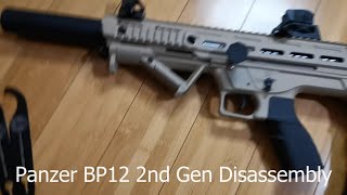 Panzer bp 12 shotgun disassembly and tips [upl. by Enirehs]