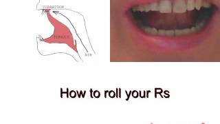 How to trill r  How to roll your Rs in Spanish Russian Italian Arabic etc [upl. by Appilihp231]