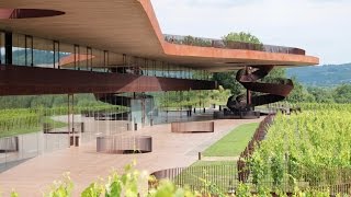 Cantine Antinori [upl. by Enyamert]