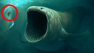 10 BIGGEST Underwater Creatures In The world [upl. by Rooke764]