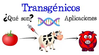 💉¿Qué son los Transgénicos Ejemplos y Aplicaciones🍅 Fácil y Rápido  BIOLOGÍA [upl. by Assenaj]