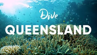 Scuba Diving in Queensland Australia [upl. by Yeta]