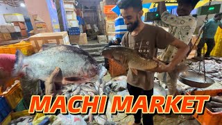 MACHI MARKET fish market [upl. by Yadnus]