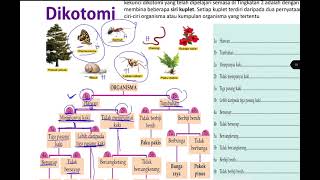 Bio T5 Bab 8 81kekunci dikotomi part 3 [upl. by Petulia]