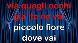 I Teppisti dei Sogni  Piccolo Fiore CORI KARAOKE MM fair use [upl. by Bozuwa]