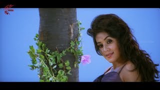 Dheere Dheere Dille Video Song  Seema Tapakai  Allari Naresh Poorna [upl. by Isej816]