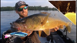 CRAZY Way To Catch Walleyes RIGHT NOW [upl. by Roban]