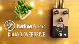 NativeAudio Kiaayo Overdrive [upl. by Emmett]