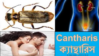 Cantharis ক্যান্থারিস Dr Mohi Uddin ডাঃ মহি উদ্দিন [upl. by Gorrono870]