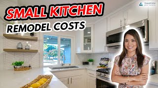 Small Kitchen Remodel Cost  Kitchen Remodel Cost Saving Tips [upl. by Revell998]