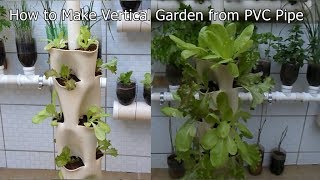 How to Make Vertical Garden from PVC Pipe [upl. by Jenna574]