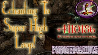 NEWFortify Enchanting potion 4110186 After 19 patch  Skyrim [upl. by Sulihpoeht]