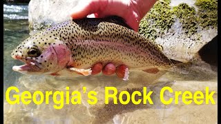 Trout Fishing Georgias Rock Creek [upl. by Balmuth524]