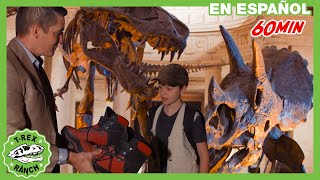 Parque de TRex  Dinosaurios antárticos para niños y nuevos fósiles en el museo [upl. by Alpers]