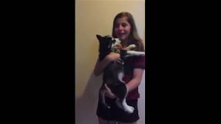 Mom Surprises Daughter With Husky Puppy [upl. by Lertram]