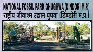 GHUGHUA FOSSIL NATIONAL PARK DINDORI MP [upl. by Eiryk]