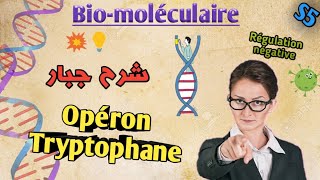 Biologie moléculaire en Arabe Opéron tryptophane en Arabe SVI S5 [upl. by Swithbert]