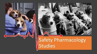 SP01 What is Safety Pharmacology Safety Pharmacology Module 1 [upl. by Ferren]