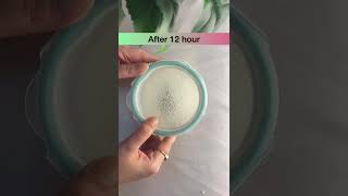 How to make yogurt starter at home shorts yogurt madhurisfoodmagic [upl. by Saffren]