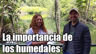 La importancia de los humedales [upl. by Lateh]