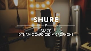 Shure SM7B Dynamic Cardioid Microphone  Reverb Demo Video [upl. by Marne132]