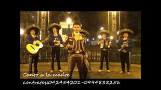 CANTO A LA MADRE MARIACHI  VASCO ANTARES [upl. by Aennyl9]