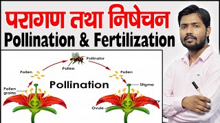 POLLINATION AND FERTILISATION  Agents of Pollination  Cross pollination  Self Pollination [upl. by Salaidh]