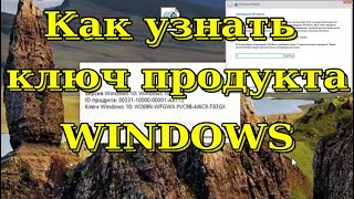 Как узнать ключ продукта Windows [upl. by Dawes20]