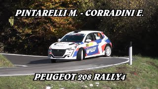 1° TRENTINORALLY 2023  PINTARELLI MATTEO  CORRADINI ERMANNO  PEUGEOT 208 RALLY 4  VIDEOCLIP [upl. by Thoer694]