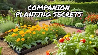 How to Boost Your Garden with Companion Planting [upl. by Ronacin]