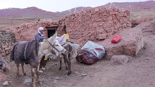 Crossing Spectacular Valleys and Mountains  Nomadic Lifestyle of Afghanistan [upl. by Cloutman726]