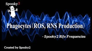 PhagocytesROS RNS Production  Spooky2 Rife Frequencies [upl. by Nehgam519]