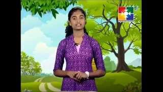 Hrudayapoorvam  Powervision TV  Episode 9 [upl. by Zetnwahs]