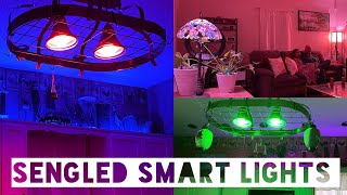 Sengled SMART LIGHTBULB Setup  ALEXA Auto Pairing smarthome [upl. by Ssalguod560]