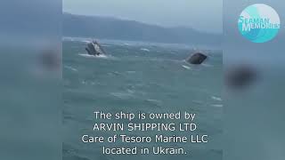 Cargo Ship Arvin sinks in the Black Sea while at anchor [upl. by Eyatnod]