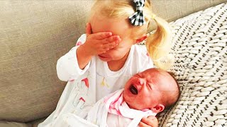 Legendary Moments When Kids Meet Newborn Babies  Funny Baby Siblings [upl. by Alexi43]