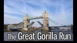 The Great Gorilla Run [upl. by Ace]