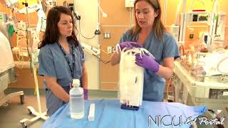 NICU Procedures  Pleurevac Chest Drainage [upl. by Hpseoj576]