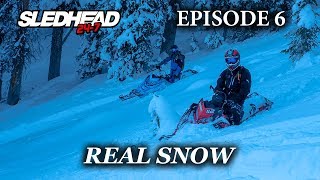 SLEDHEAD 247 2019  EPISODE 6 [upl. by Rramed687]