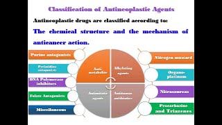 SAR of AnticancerAntineoplastic Drug Alkylating agents Nitrogen Mustard [upl. by Rotsen42]