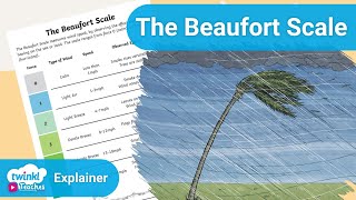 What Is The Beaufort Scale  How to Measure Wind [upl. by Marlene]