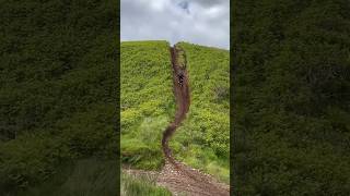 Hillclimb fail drumclog [upl. by Jeroma266]