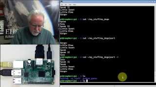 Raspberry Pi Linux LESSON 13 Using the Linux Pipe Command [upl. by Nirrep679]