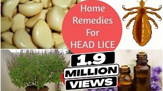 Top 5 Home Remedies To Get Rid Of Head LICE amp Nits  Sushmitas Diaries [upl. by Latsyrd]