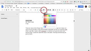 Google Docs  Fonts style size color [upl. by Eittam]