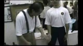 Sifu Wan Kam Leung Practical Wing Chun [upl. by Ilak]