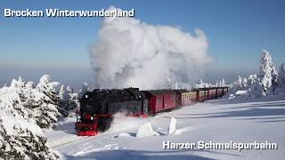 Narrow gauge steam in a winter wonderland in 4K  Harzer Schmalspur bahn on Brocken mountain [upl. by Anilos]